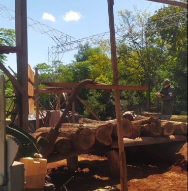 Detectaron rollos de madera nativa en un aserradero no habilitado
