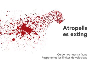 Fin de semana largo: respetar los límites de velocidad es importante también para la fauna