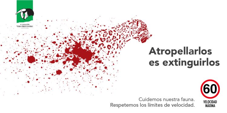 Fin de semana largo: respetar los límites de velocidad es importante también para la fauna