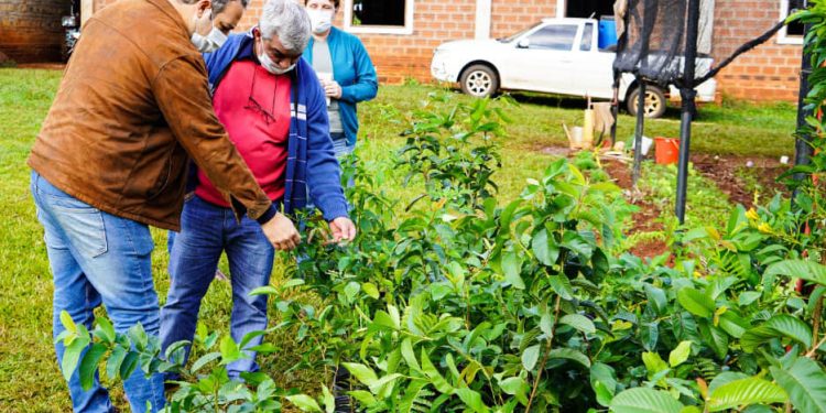 Entregaron árboles nativos y frutales en el municipio de Santa María