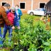 Entregaron árboles nativos y frutales en el municipio de Santa María