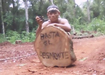 El Gobierno provincial frenó los desmontes en el Kuña Pirú