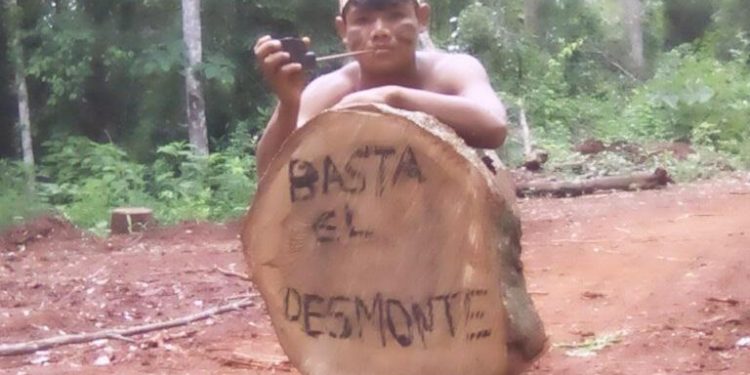 El Gobierno provincial frenó los desmontes en el Kuña Pirú