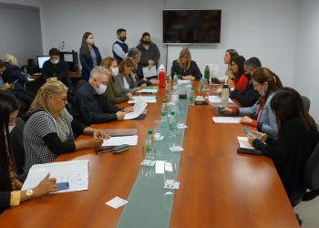 Las comisiones permanentes iniciaron el trabajo en el Parlamento misionero