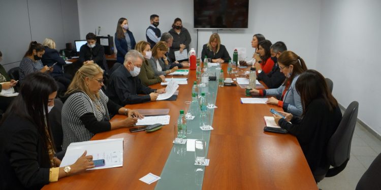 Las comisiones permanentes iniciaron el trabajo en el Parlamento misionero