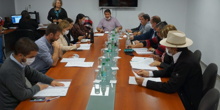 Cámara de Representantes: avanza el proyecto legislativo que otorgará un marco normativo a la central de esterilización