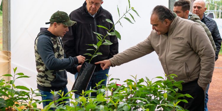 Desde el IFAI visitaron emprendimiento de Cerro Azul para conocer qué producen