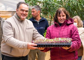 El Ifai entregó plantines a productores hortícolas de Apóstoles