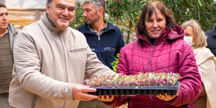 El Ifai entregó plantines a productores hortícolas de Apóstoles