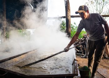 Continúa el programa de mejoramiento de salas de producción de azúcar rubio