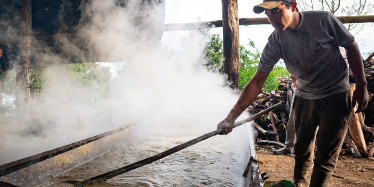 Continúa el programa de mejoramiento de salas de producción de azúcar rubio