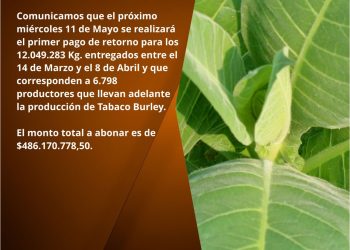 Anunciaron pago de retorno para tabacaleros por $486 millones