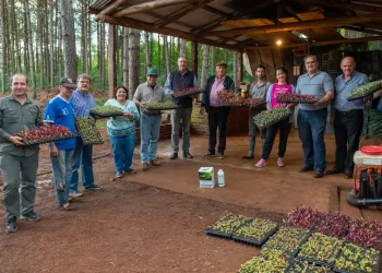 El Ifai entregó plantines y fertilizantes a pequeños productores en Corpus Christi y Gobernador Roca