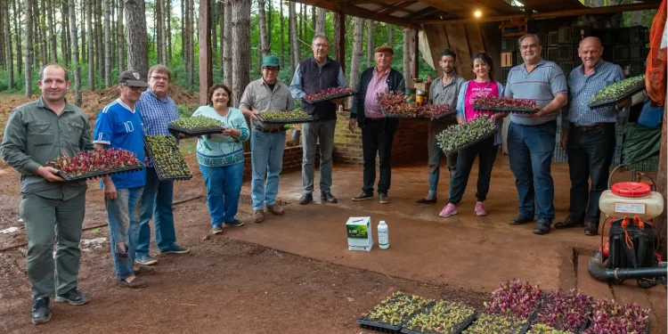 El Ifai entregó plantines y fertilizantes a pequeños productores en Corpus Christi y Gobernador Roca