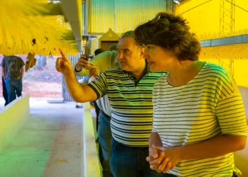 Funcionarios del Ifai analizaron  producción del emprendimiento «Sedas de Misiones»