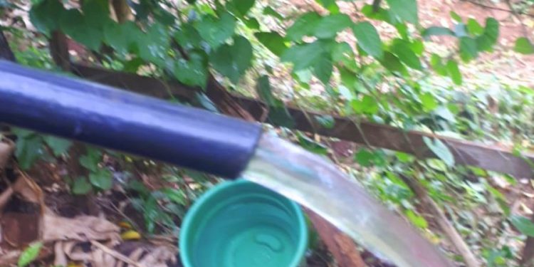 Santa Ana: conectaron red de agua para las familias del barrio El Cerrito