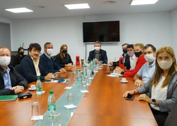 Buscan declarar Monumento Natural al Mono Carayá Negro y Dorado