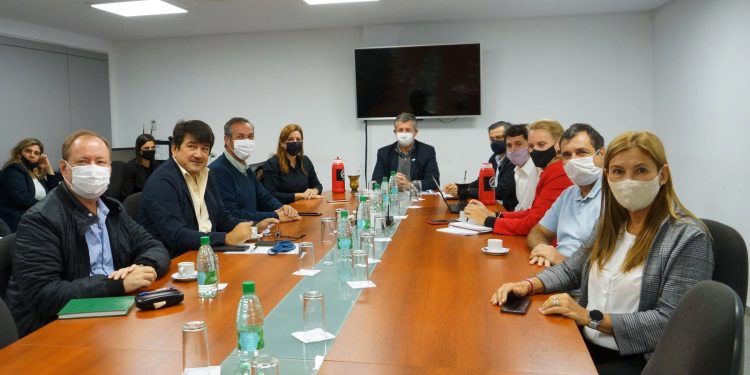 Buscan declarar Monumento Natural al Mono Carayá Negro y Dorado