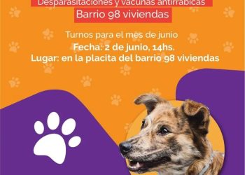 En San Javier, el programa de castraciones sigue recorriendo los barrios