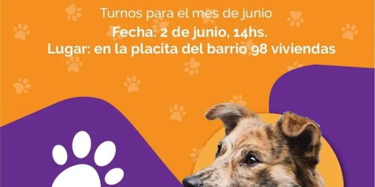 En San Javier, el programa de castraciones sigue recorriendo los barrios