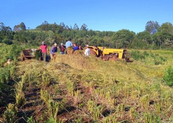 Proponen Ley para crear Secretaría de la Economía Popular en Misiones