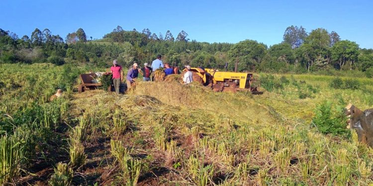 Proponen Ley para crear Secretaría de la Economía Popular en Misiones