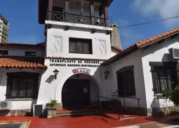 El Incucai realizó más de 1.300 trasplantes de órganos y córneas en lo que va del 2022