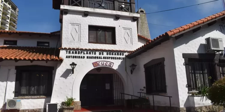 El Incucai realizó más de 1.300 trasplantes de órganos y córneas en lo que va del 2022