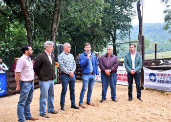 Con 350 cabezas en pista se realizó el remate de ovinos, caprinos, porcinos y equinos de Misiones