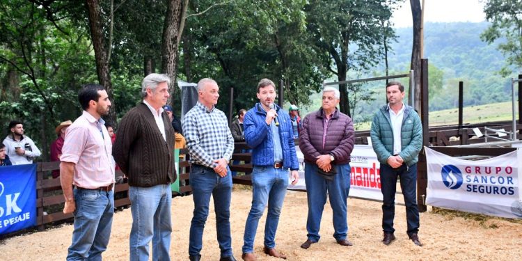 Con 350 cabezas en pista se realizó el remate de ovinos, caprinos, porcinos y equinos de Misiones