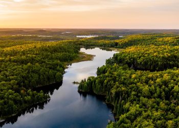 Día Mundial del Medio Ambiente: el desafío es vivir de manera sostenible