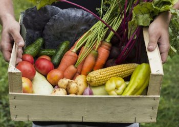 Los alimentos orgánicos marcan tendencia en Misiones