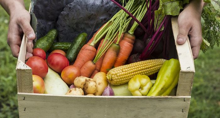 Los alimentos orgánicos marcan tendencia en Misiones