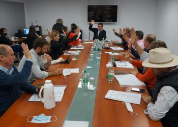 Obtuvo dictamen el proyecto legislativo para el abordaje integral de la artritis reumatoidea