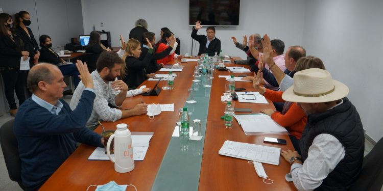 Obtuvo dictamen el proyecto legislativo para el abordaje integral de la artritis reumatoidea