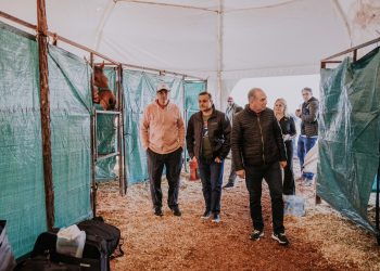 Herrera Ahuad acompañó el inicio del torneo hípico “Copa Ciudad de Posadas”