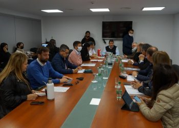 Avanza el proyecto de ley para declarar de interés provincial el abordaje del Síndrome de Moebius