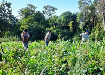 TTT: la Ley de Agricultura Familiar marca una clara postura sobre nuestro modelo de desarrollo productivo