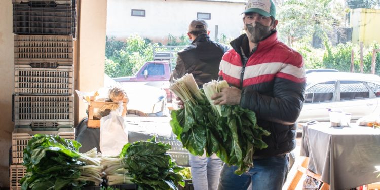 Las Ferias Francas de Posadas abrirán normalmente durante el feriado largo