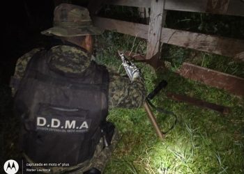 Guardaparques junto a la Policía ambiental de Misiones detuvieron a tres cazadores en Andresito