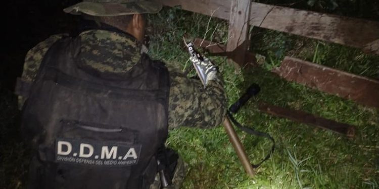 Guardaparques junto a la Policía ambiental de Misiones detuvieron a tres cazadores en Andresito