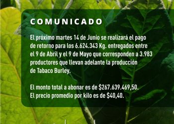 El 14 de junio pagarán más de $267 millones a productores tabacaleros