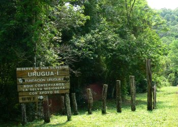 En 2022 se celebran 25 años de la Reserva de Vida Silvestre Urugua-í