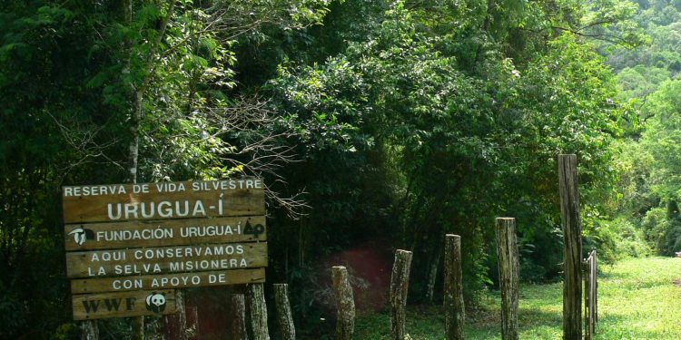 En 2022 se celebran 25 años de la Reserva de Vida Silvestre Urugua-í
