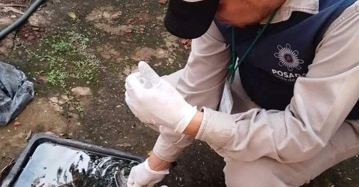 Tras la lluvia, se recomienda limpiar los patios para evitar la propagación del Aedes aegypti