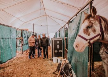 Misiones, la elegida, con un pico de ocupación hotelera de 100 % en Posadas y  95% en Puerto Iguazú