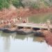 Avanza el armado del puente militar en la Ruta Provincial 2 sobre el arroyo Pindaytí