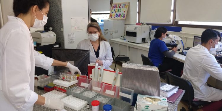 El Laboratorio de Agudos del Hospital Escuela realiza cerca de 62 mil determinaciones por mes
