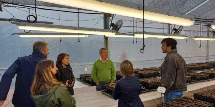 Ecología evalúa insectos que utilizarán en la producción de cannabis medicinal en Misiones