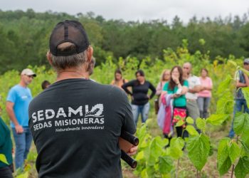 Producción de seda como herramienta de desarrollo